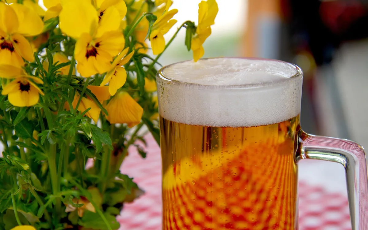 Maßkrug Bier neben gelben Stiefmütterchen